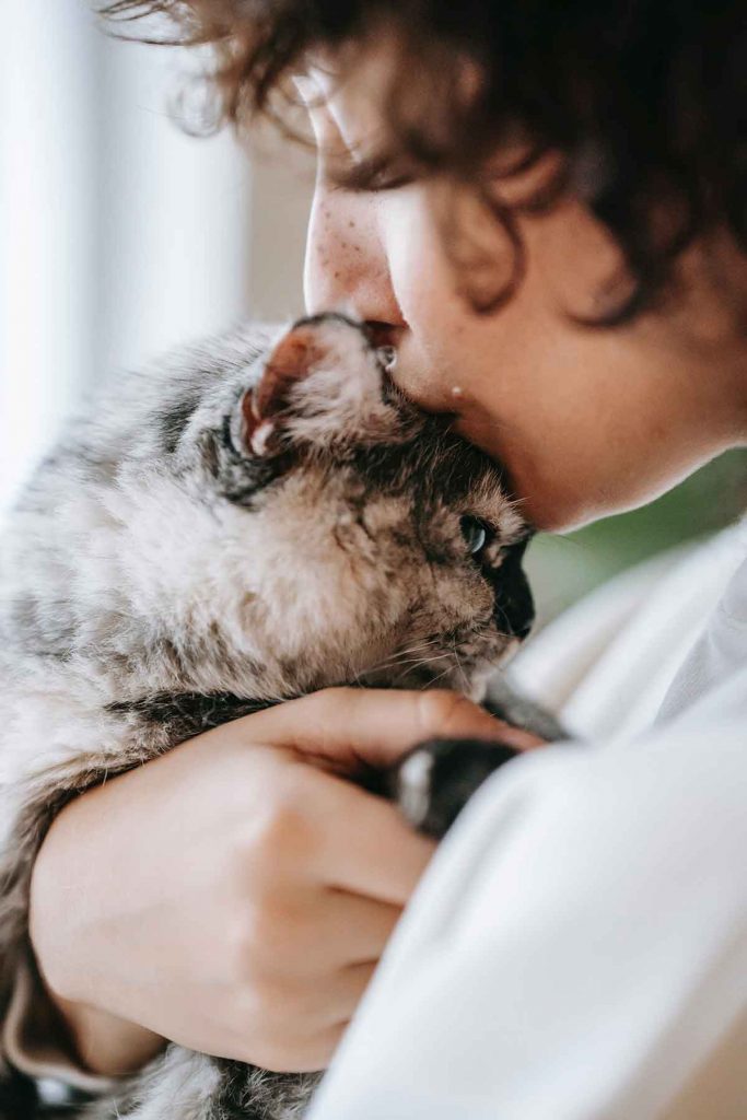 oftalmologia veterinaria congiuntivite animali domestici cane gatto veterinario oculista oftalmologo lazio molise roma